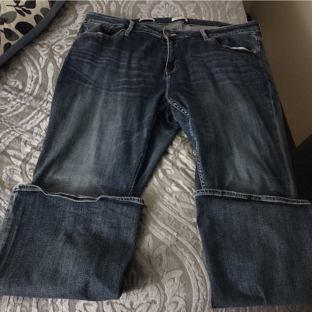 Plus size vigoss jeans